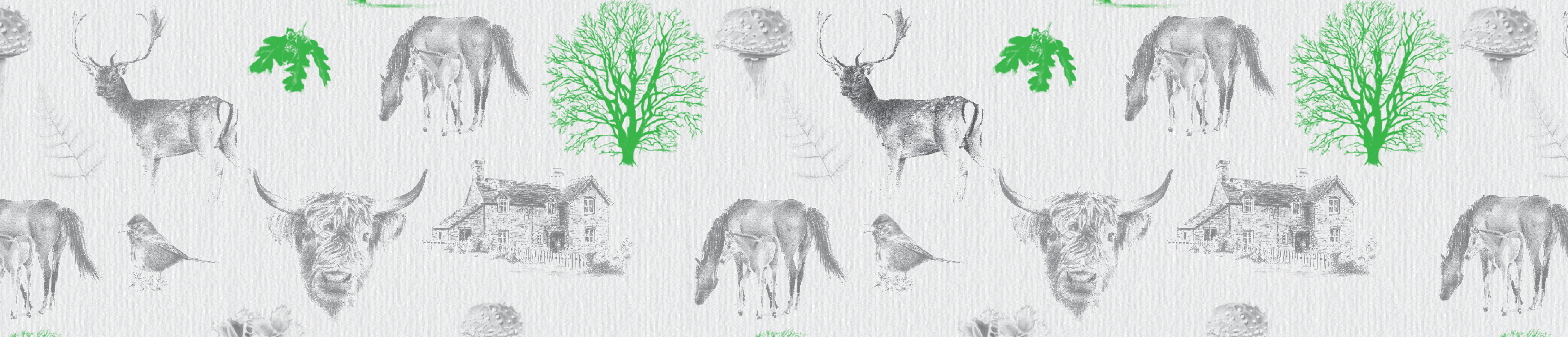 New Forest Shortbread | Round Shortbread Biscuits | Luxury Food Gifts