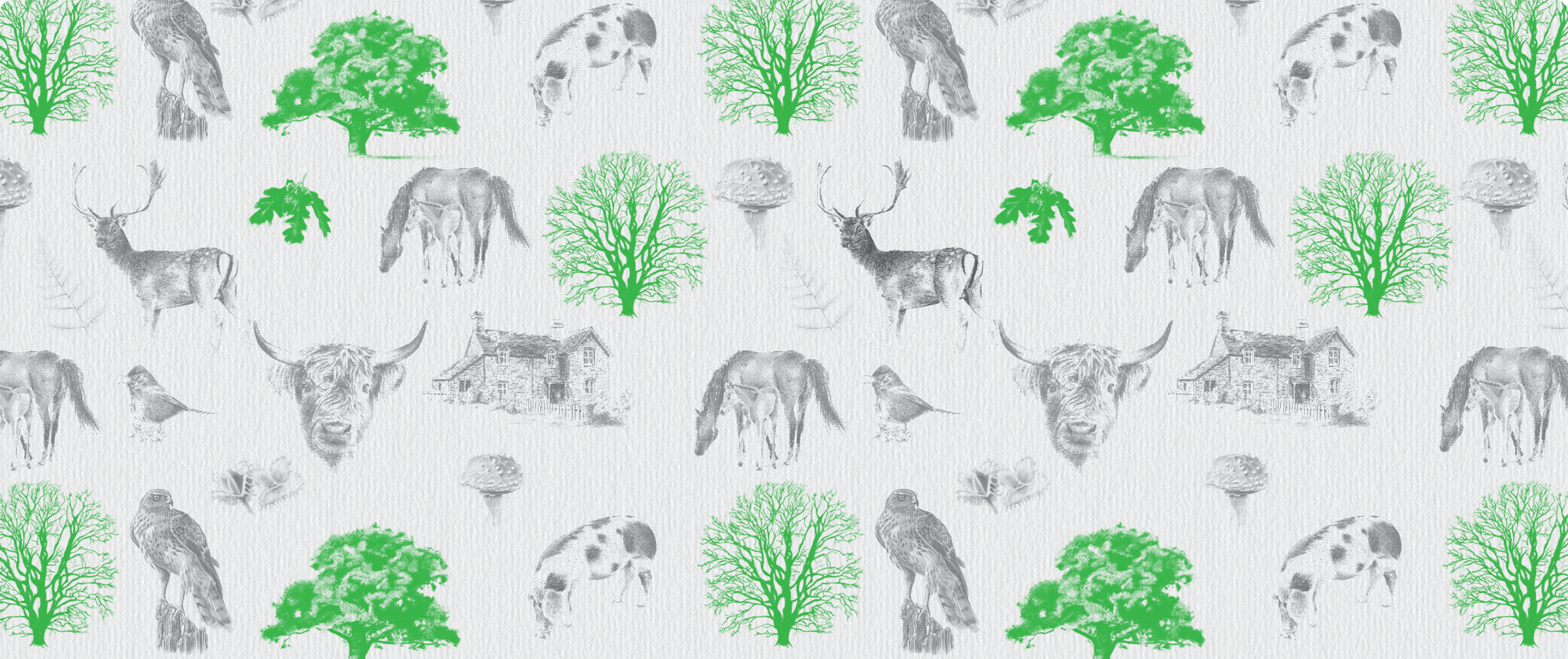 New Forest Shortbread | Luxury Shortbread |Biscuit Gifts By Post