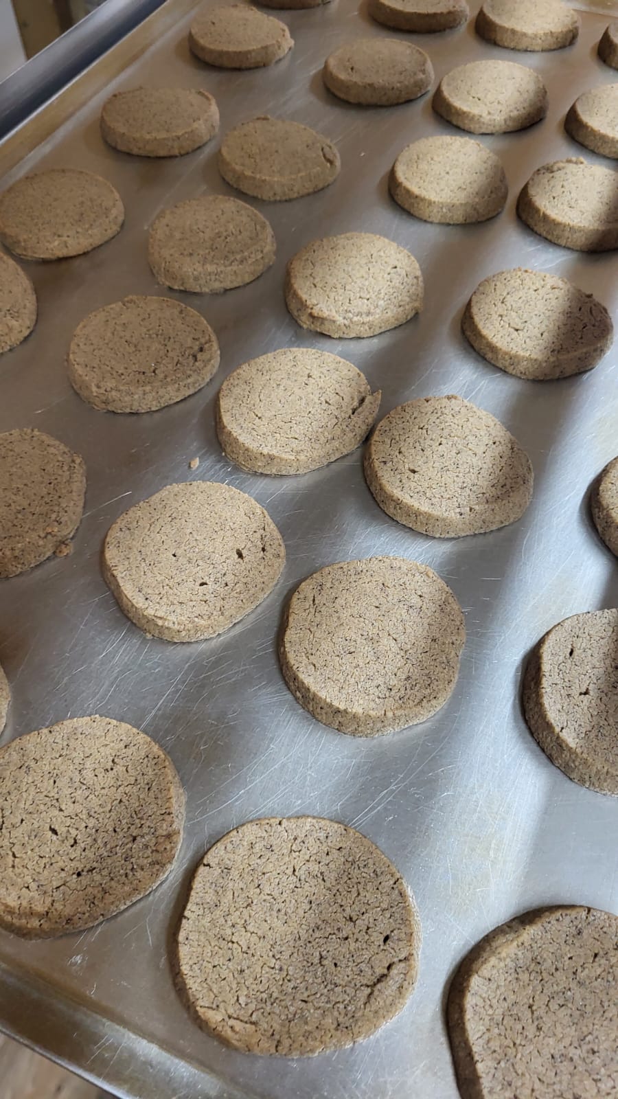 Fresh from the oven!