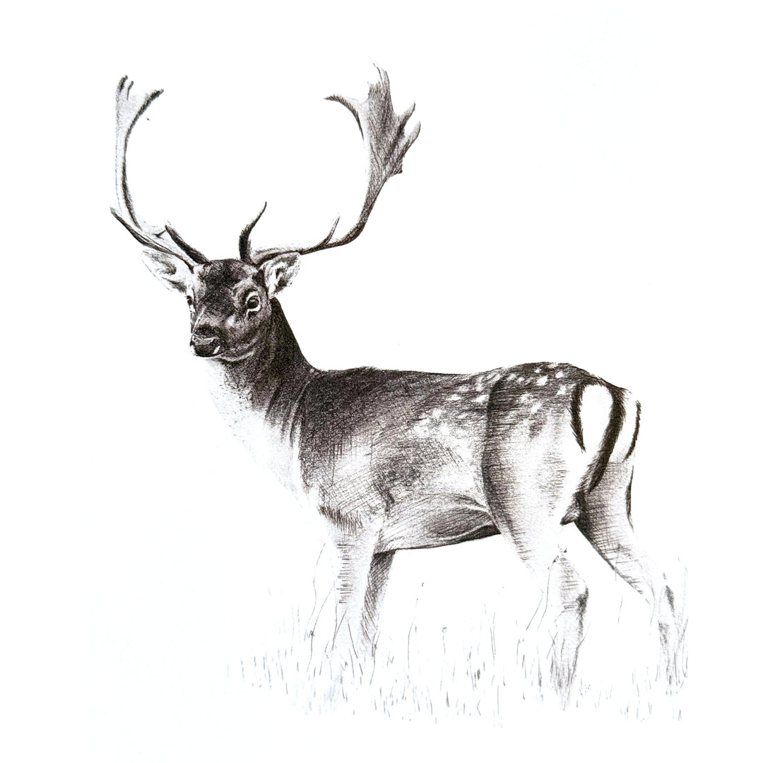 February 2025: "From A New Forest Inclosure” by Ian Thew