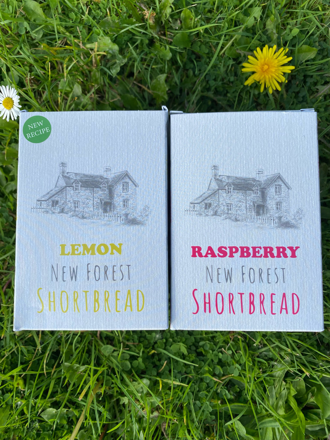 Lemon & Raspberry