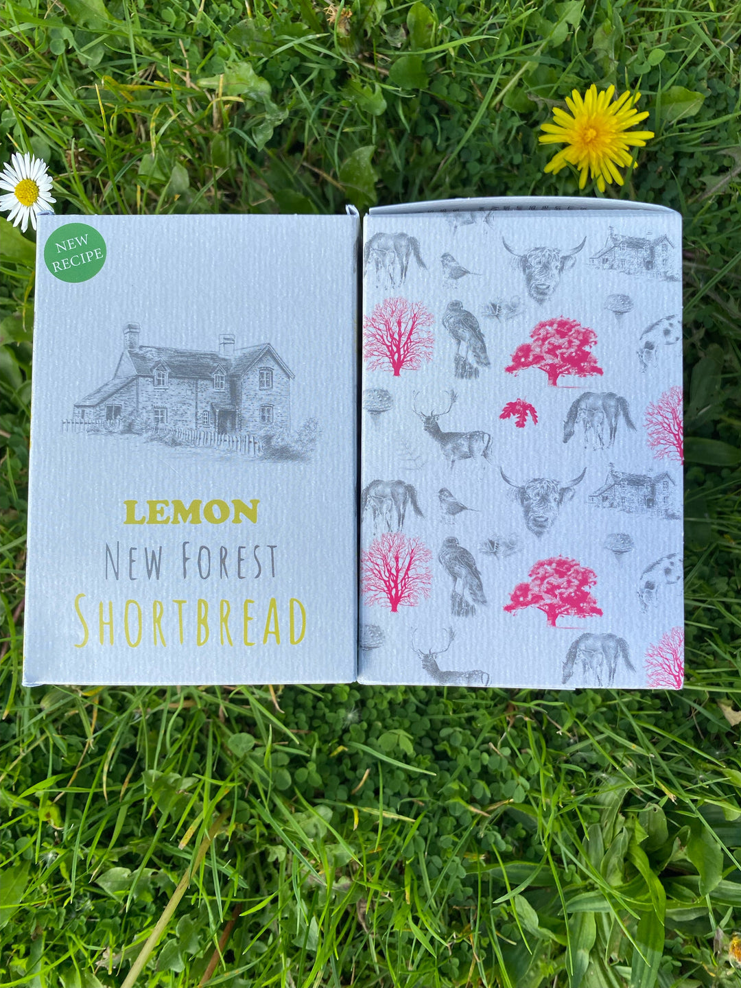 Savour that Summer Flavour!