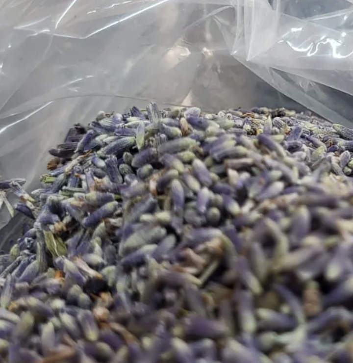Lavender