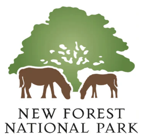 January 2026: "From A New Forest Inclosure” by Ian Thew