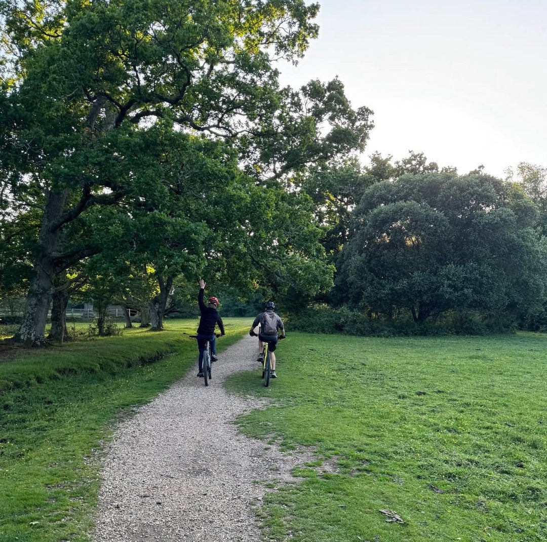 July 2026: "From A New Forest Inclosure” by Ian Thew