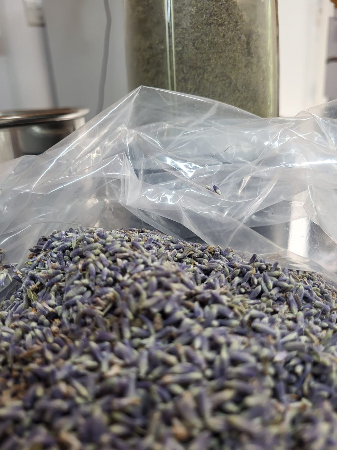 Lavender