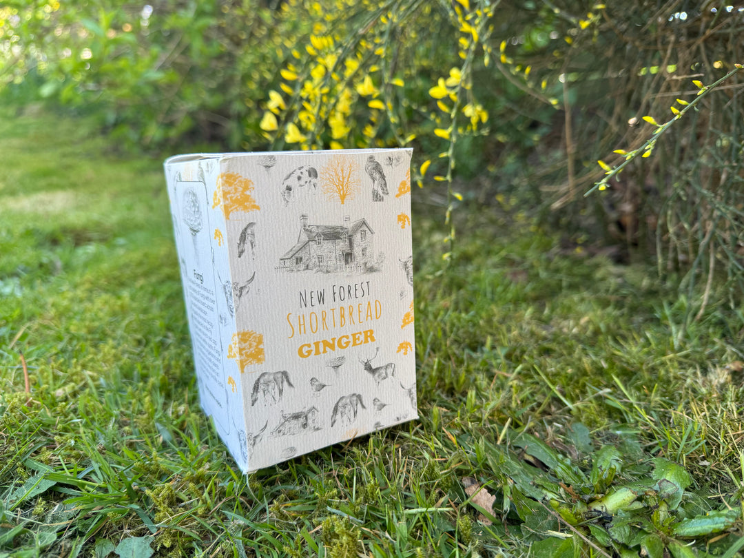 Ginger Flavoured New Forest Shortbread - Box of 8