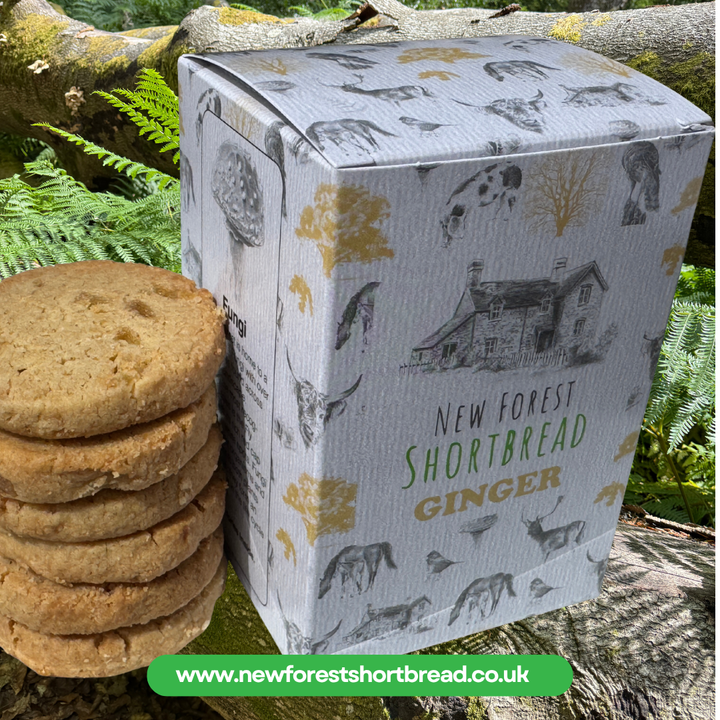 Ginger Flavoured New Forest Shortbread - Box of 8