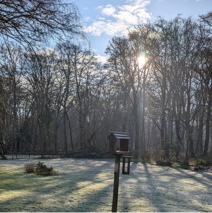 Girls Night-In Collection