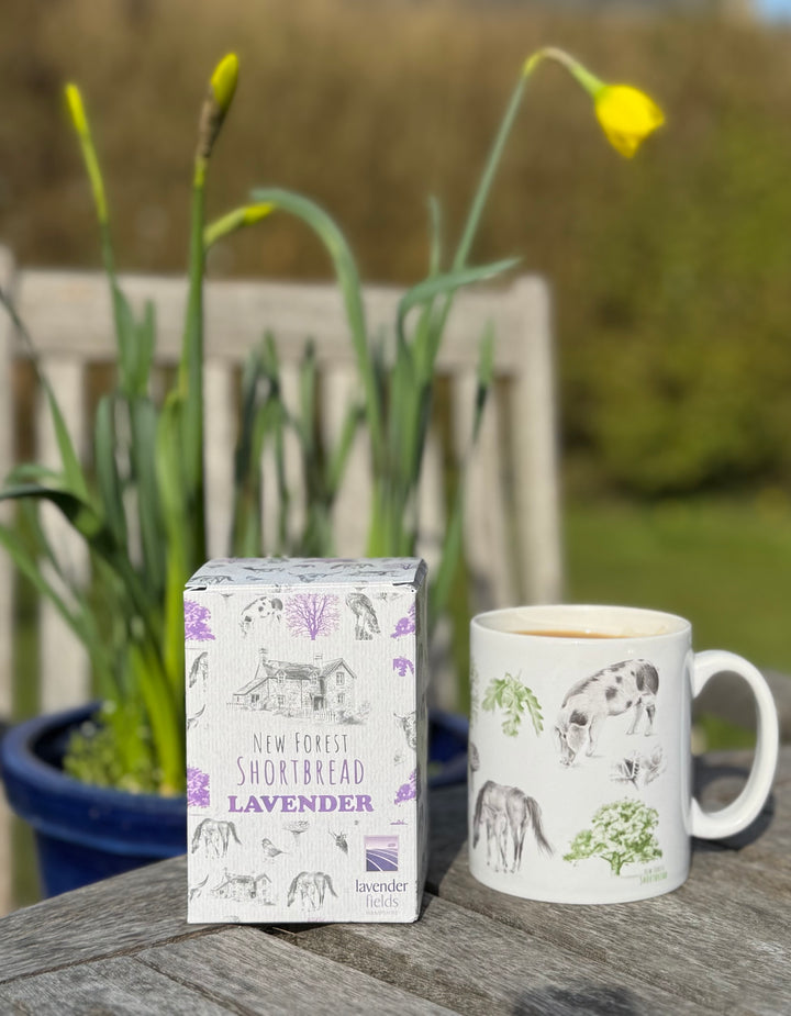 Lavender Flavoured New Forest Shortbread - Box of 8