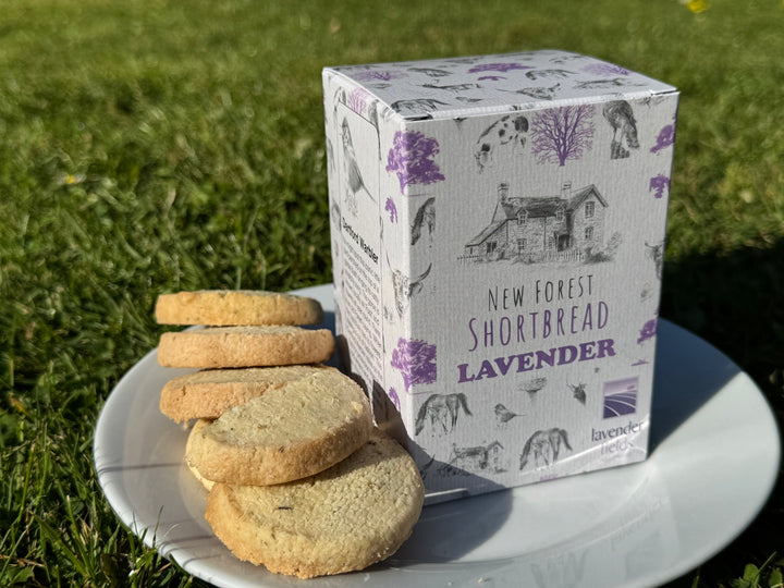 Lavender Flavoured New Forest Shortbread - Box of 8