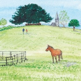Boltons Bench | New Forest Shortbread | Where To Buy Shortbread